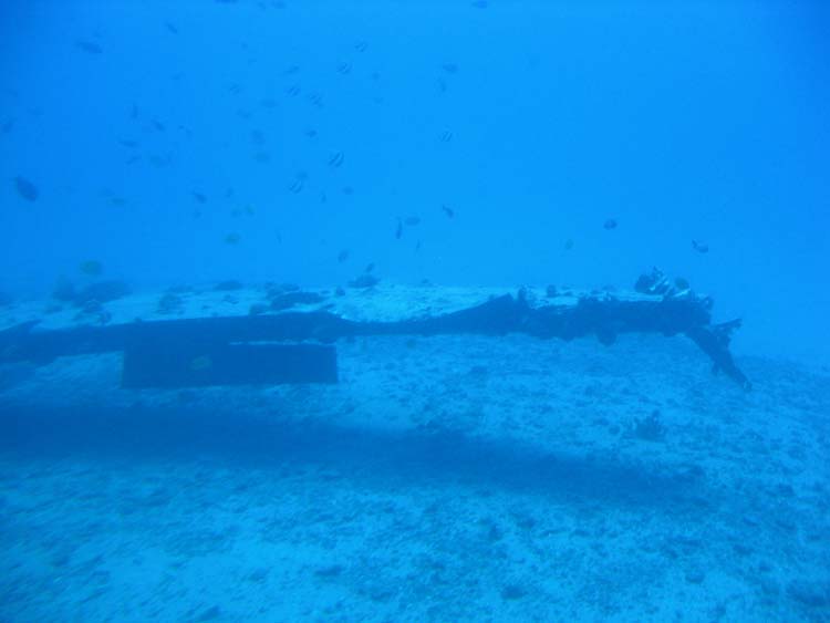CIMG2288