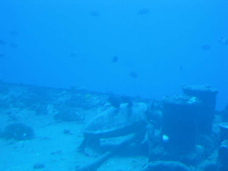 CIMG2303