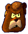BEAR SAP