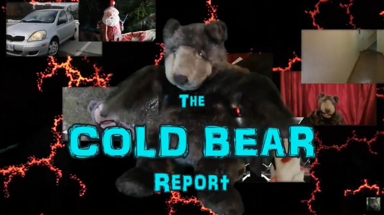 COLD BEAR REPORT