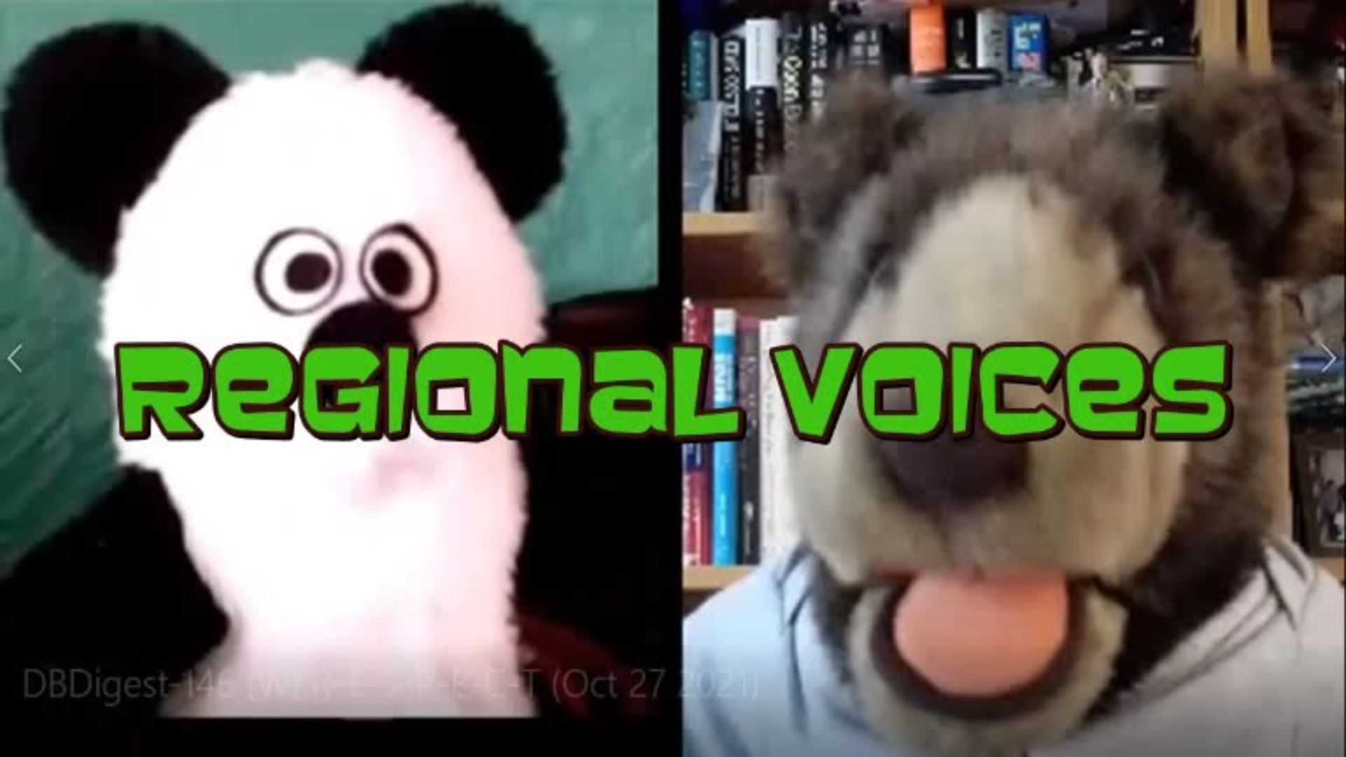 REGIONAL VOICES